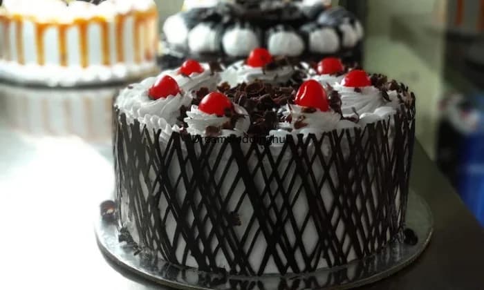 Rainbows Subham Enterprise Rainbows Subham Enterprise