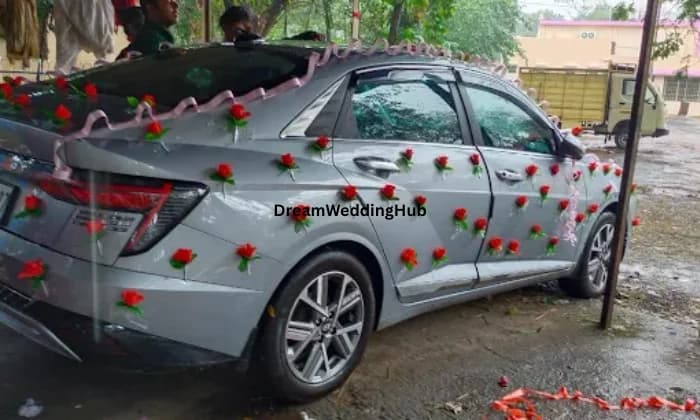 Roy Travels Roy Travels