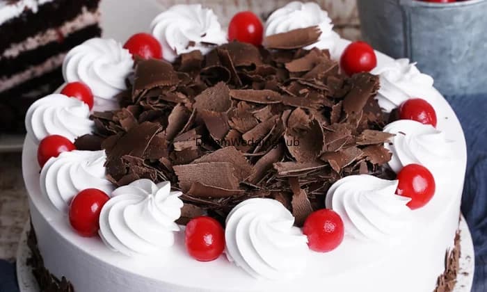 SVM Cakes Treats SVM Cakes Treats