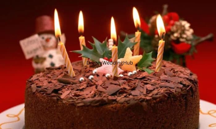 Dolphin Bakery Dolphin Bakery