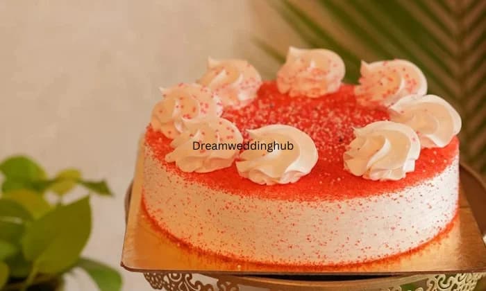 Cakewalk amritsar Cakewalk amritsar