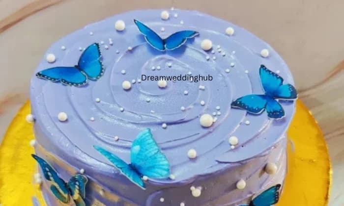 The Brownie studio The Brownie studio