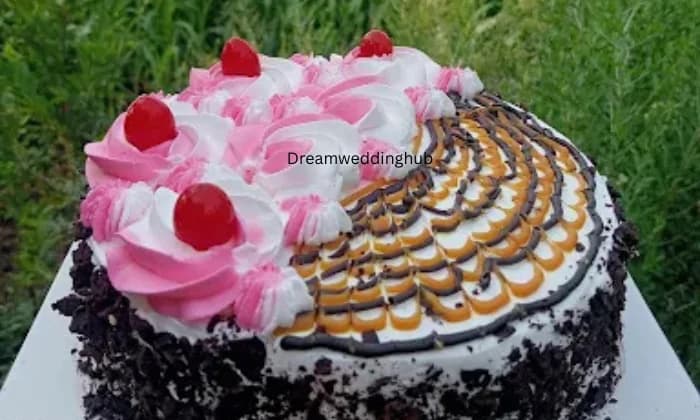 D Cake Max D Cake Max