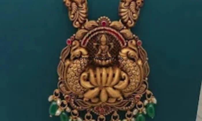 NALLAMALLIS PADMANJALI NALLAMALLIS PADMANJALI