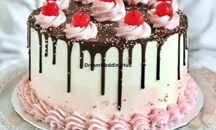 AMRIT CAKE CORNER AMRIT CAKE CORNER