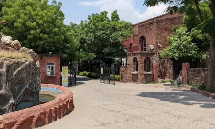 Magsons Resorts Magsons Resorts